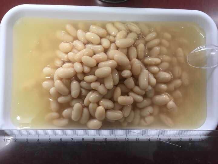 奶花芸豆罐头 
